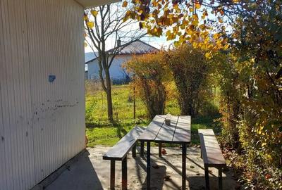 Spațiu comercial, de 50 mp, în Valea Glodului - 1