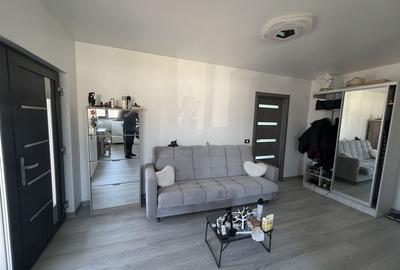 Casă cu 2 camere în Mintia - 4