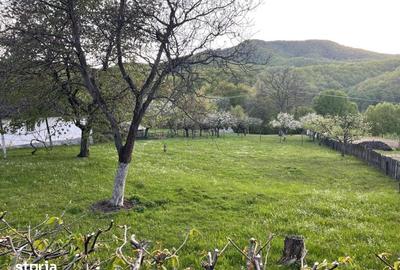 Teren de 1590 mp, în Firiza