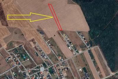 Teren de 7000 mp, în Brănești - 3