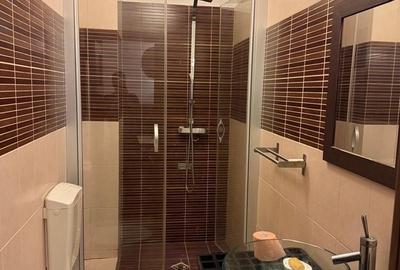 Apartament cu 3 camere decomandat, mobilat în Dămăroaia - 7