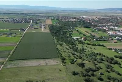 Teren Construcții intravilan de 500 mp, în Bod - 1