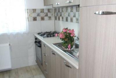 Apartament cu 2 camere semidecomandat, mobilat în Costin Georgian - 4