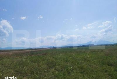 Teren de 50000 mp, în Prejmer - 2