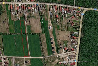 Teren Construcții intravilan de 7600 mp, în Balotești - 5
