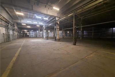 Spațiu industrial, de 2,500 mp, în Est - 5