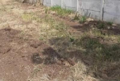 Teren de 2637 mp, în Lilieci - 4