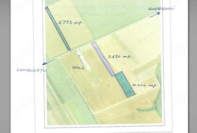 Teren de 25000 mp, în Ghergani - 2