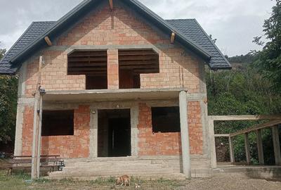 Teren de 900 mp, în Viișoara (Târgu Trotuș)