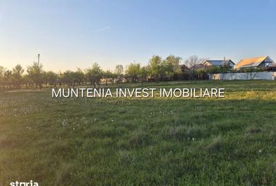 Teren de 3533 mp, în Poiana Lacului - 5