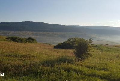 Teren de 3750 mp, în Baciu - 2