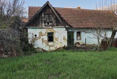 Teren de 719 mp, în Podgoria