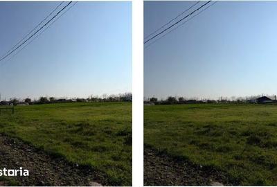 Teren de 1688 mp, în Grivița - 3
