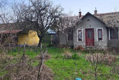 Casă cu Teren 2000 Mp în Plenița - 3