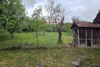 Casă cu 3 camere cu Teren 2200 Mp în Teleac - 14