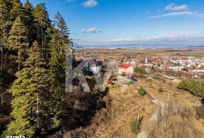 Spațiu comercial, în Poiana Angelescu - 9