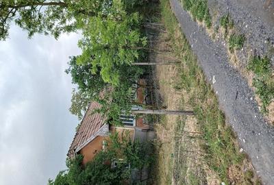 Casă cu Teren 2291 Mp în Ceanu Mare - 3