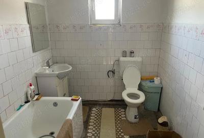 Casă cu 3 camere în Balinț - 1