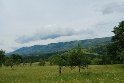 Teren de 60000 mp, în Cornea - 3