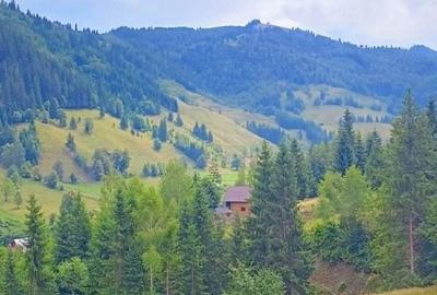 Teren de 32589 mp, în Pojorâta - 7