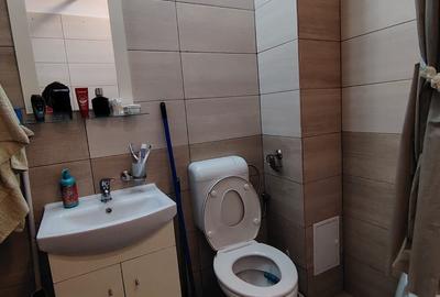 Garsonieră decomandată în Turnișor - 3