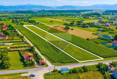 Teren Construcții intravilan de 10800 mp, în Podu Oltului