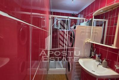 Apartament cu 2 camere semidecomandat în Iosefin