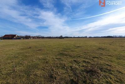 Teren Construcții intravilan de 6400 mp, în Pădureni (Jebel) - 14