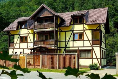 Casă cu 8 camere cu Teren 1000 Mp în Sadu - 6