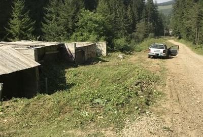 Teren de 3600 mp, în Sucevița - 6
