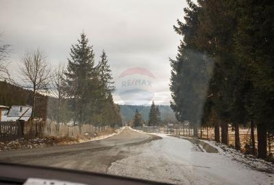 Teren intravilan de 49000 mp, în Borca - 5