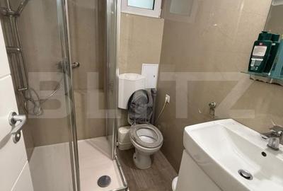 Apartament cu 2 camere în Gării - 10