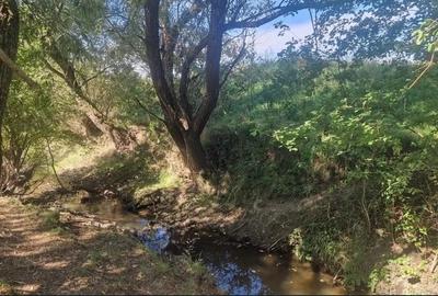 Casă individuală cu 3 camere cu Teren 2200 Mp în Colibi - 6