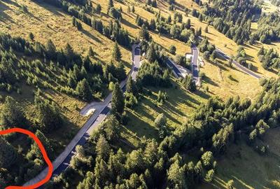 Teren de 800 mp, în Sud - 1