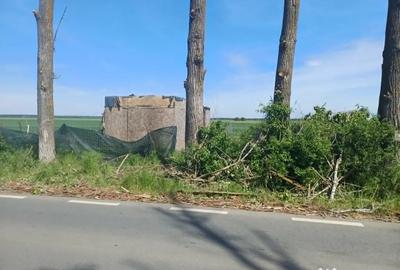 Teren de 5000 mp, în Siliștea Snagovului - 3