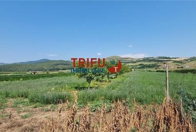 Spațiu comercial, în Șard - 1