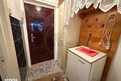 Garsonieră semidecomandată, mobilată în Brazda lui Novac