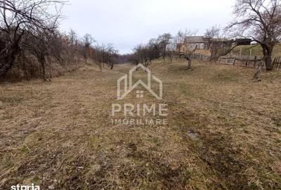 Teren de 1944 mp, în Pianu - 1