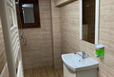 Spațiu comercial, de 41 mp, în Gruia - 6