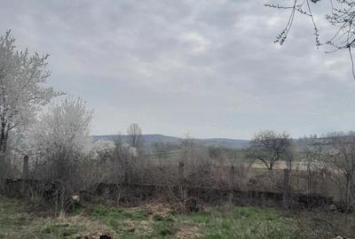 Casă cu 3 camere cu Teren 22 Mp în Craiva - 2