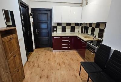 Apartament cu 2 camere semidecomandat, mobilat în Roșu - 5