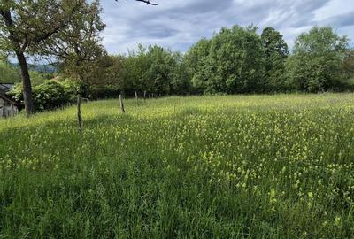 Teren de 3300 mp, în Poienarii de Muscel