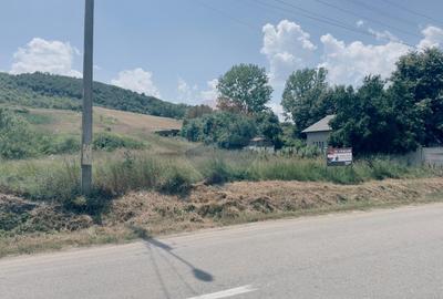 Teren Construcții intravilan de 3700 mp, în Coțofenii din Dos - 3