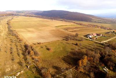 Teren de 808 mp, în Valea Crișului - 4