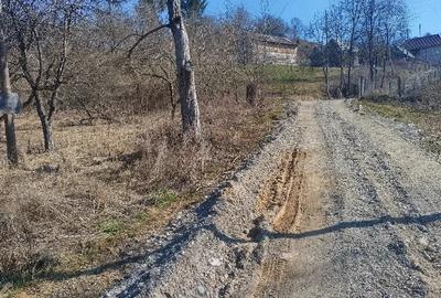 Teren de 1600 mp, în Vișeu de Mijloc