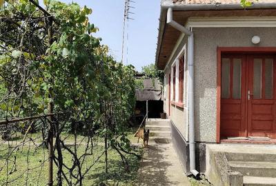 Casă cu 3 camere cu Teren 1600 Mp în Bacea
