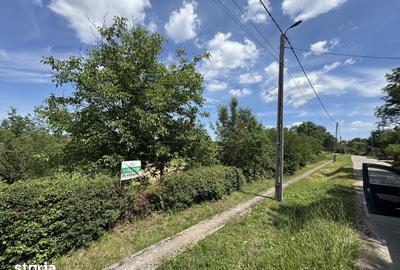 Teren de 1450 mp, în Viile Satu Mare - 1