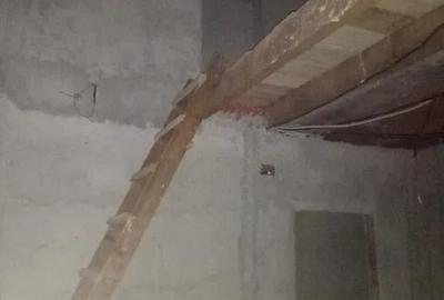 Casă cu 5 camere cu Teren 1000 Mp în Peciu Nou - 3