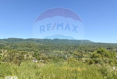 Casă cu 2 camere cu Teren 2744 Mp în Desești - 10