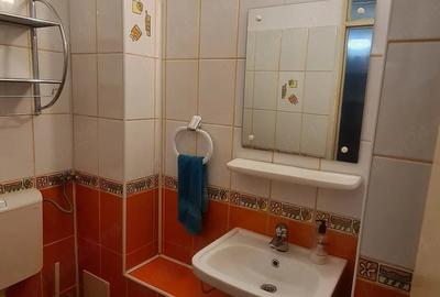 Apartament cu 3 camere decomandat în Lăpuș